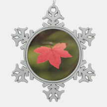 紅秋メープルリーフ自然写真