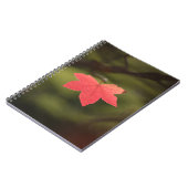 紅秋メープルリーフ自然写真 ノートブック (左側)