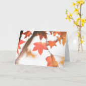 紅紅葉の自然写真 カード (黄色い花)