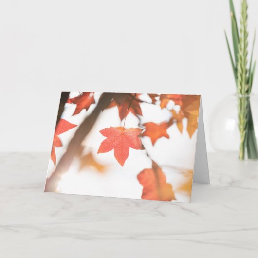 紅紅葉の自然写真 カード (正面)