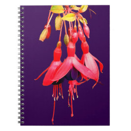 紅紫色の花 ノートブック