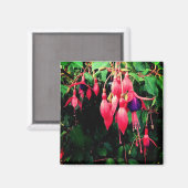 紅紫色の花 マグネット (正面/裏面)