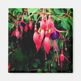 紅紫色の花 マグネット