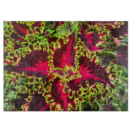 紅緑葉植物 カッティングボード (正面)