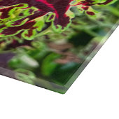 紅緑葉植物 カッティングボード (角)