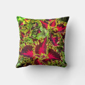 紅緑葉植物 クッション (裏面)