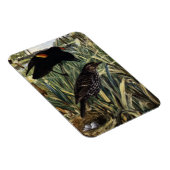 紅翼のブラックバードとカタテールの巣 マグネット (右側)