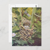 紅翼のブラックバードの巣 ポストカード (正面/裏面)