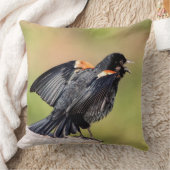 紅翼のブラックバードの歌 クッション (ブランケット)