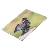 紅翼のブラックバードの歌 ノートパッド (アングル)