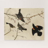 紅翼のブラックバード – オードボンのアメリカの鳥 ジグソーパズル (横)