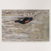 紅翼のブラックバード ジグソーパズル (横)