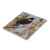 紅翼のブラックバード タイル (側面)