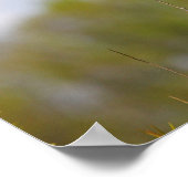 紅翼のブラックバード ポスター (角)