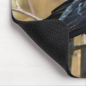 紅翼のブラックバード マウスパッド (コーナー)