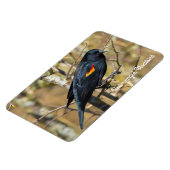 紅翼のブラックバード マグネット (左側)