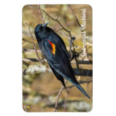 紅翼のブラックバード マグネット (縦)