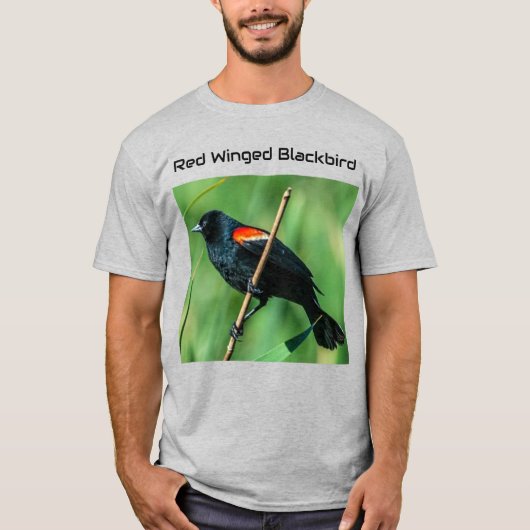 紅翼のブラックバード Tシャツ (正面)