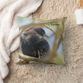 紅翼の黒鳥 クッション (ブランケット)