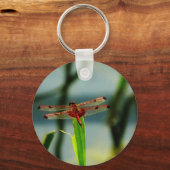 紅色と黒色のトンボ キーホルダー (正面)