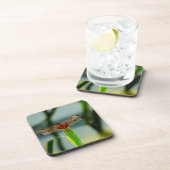 紅色と黒色のトンボ コースター (右側)