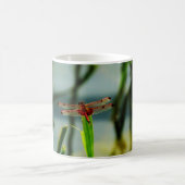 紅色と黒色のトンボ コーヒーマグカップ (中央)