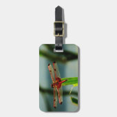 紅色と黒色のトンボ ラゲッジタグ (正面縦)
