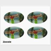 紅色と黒色のトンボ 楕円形シール (シート)