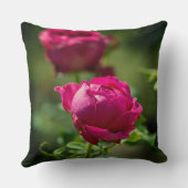 紅色のバラの花 クッション (裏面)