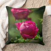 紅色のバラの花 クッション (ブランケット)