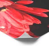 紅色の美しい花、花柄 ポスター (角)