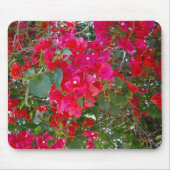 紅色の花:赤いブーゲンビリアのダンス マウスパッド (正面)