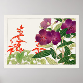紅色サルビアと紫芽腫by谷上香南 ポスター