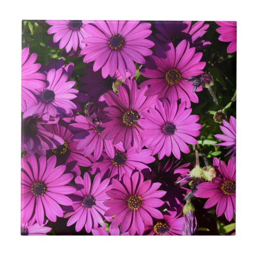 紅色骨permum花 タイル (正面)