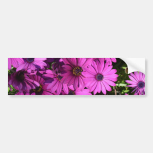 紅色骨permum花 バンパーステッカー