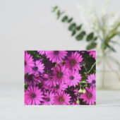 紅色骨permum花 ポストカード (スタンド正面)