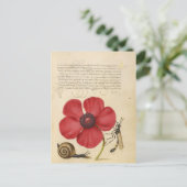 紅花カタツムリ ポストカード (スタンド正面)