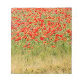 紅花 ノートパッド (正面)