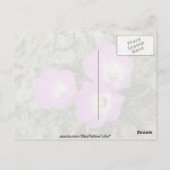 紅苦根花 ポストカード (裏面)