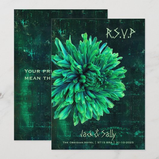 紅菊 セーブザデート (正面/裏面)