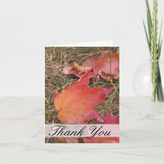 紅葉ありがとう サンキューカード (正面)