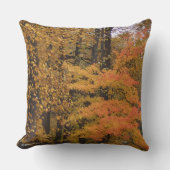 紅葉かわいらしチューリップポプラ可逆枕 クッション (正面)