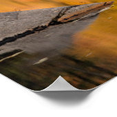 紅葉がビーバー池で反射 ポスター (角)