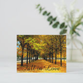 紅葉がポストカードの日付を保存 案内ポストカード (スタンド正面)