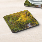 紅葉が並ぶ小さな砂利道 コースター (左側)