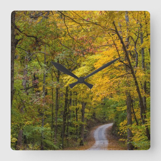 紅葉が並ぶ小さな砂利道 スクエア壁時計 (正面)