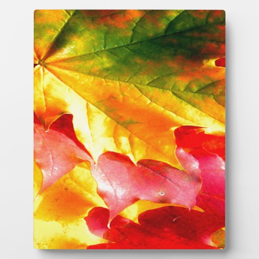紅葉が黄色、赤、緑にカスタマイズ フォトプラーク (正面)