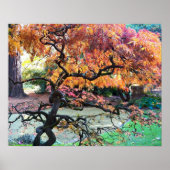 紅葉したもみじの古木 ポスター (正面)