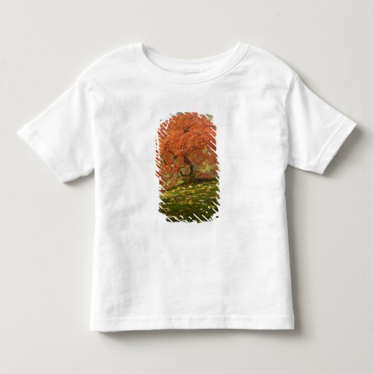 紅葉したイロハモミジ トドラーTシャツ (正面)