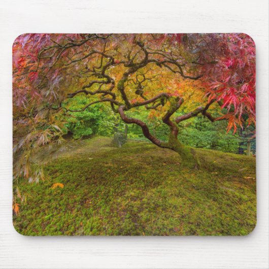 紅葉したイロハモミジ マウスパッド (正面)